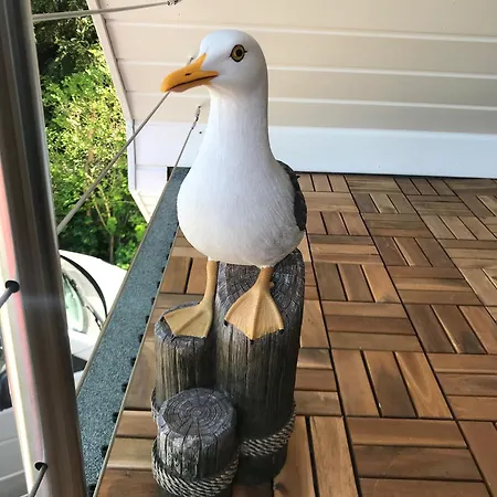 Brueckendeck App 3 * Zingst