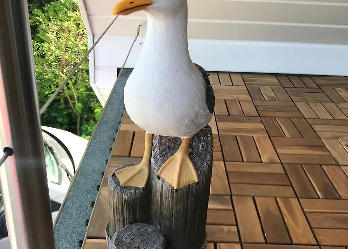 Brueckendeck App 3 * Zingst